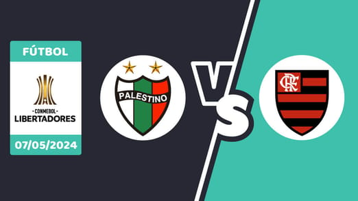 Palestino vs. Flamengo