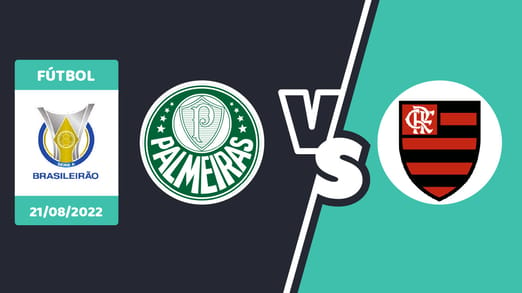 Palmeiras vs. Flamengo